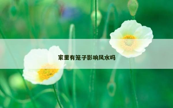 家里有籠子影響風水嗎