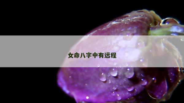 女命八字中有遠程 女命八字中有遠程