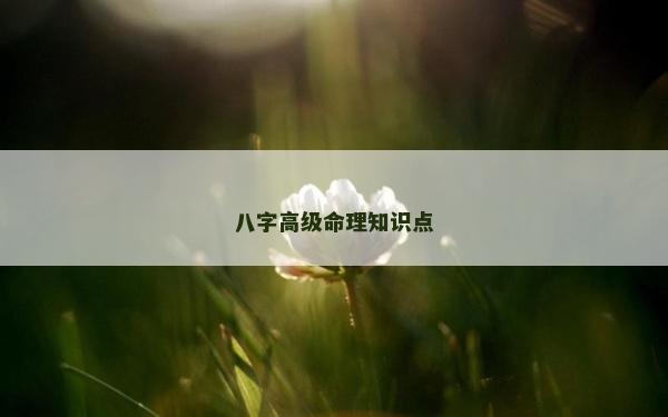 八字高級命理知識點