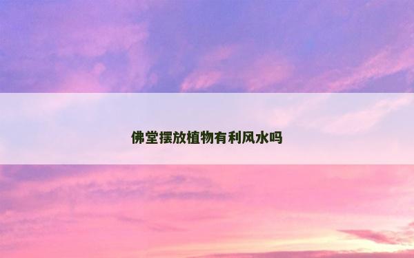 佛堂擺放植物有利風水嗎