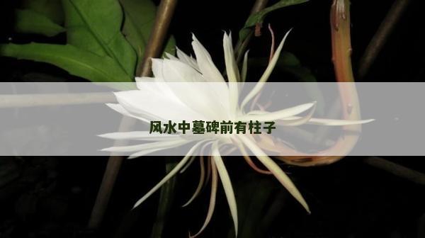 風(fēng)水中墓碑前有柱子