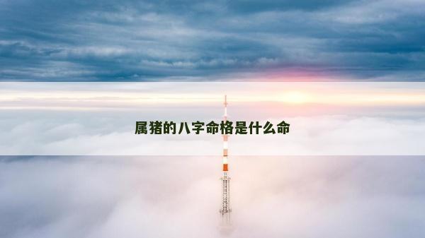 屬豬的八字命格是什么命 屬豬的八字命格是什么命