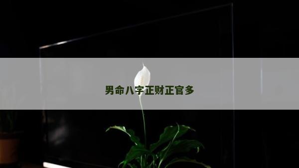 男命八字正財(cái)正官多