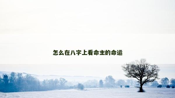 怎么在八字上看命主的命運