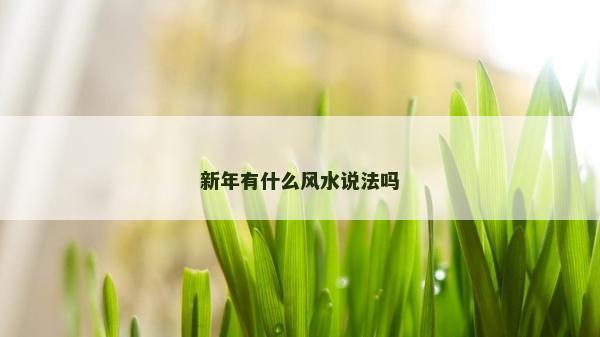 新年有什么風(fēng)水說法嗎