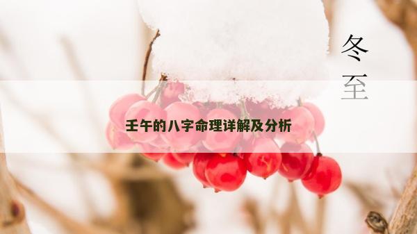 壬午的八字命理詳解及分析