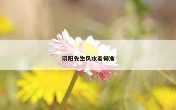 陰陽先生風水看得準