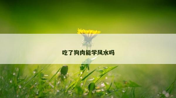 吃了狗肉能學風水嗎