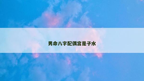 男命八字配偶宮是子水
