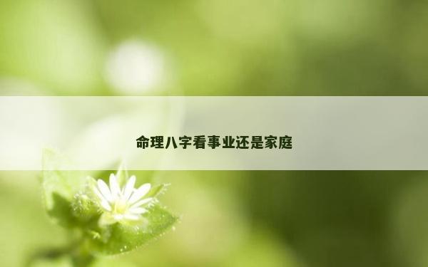 命理八字看事業還是家庭