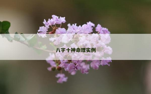 八字十神命理實(shí)例