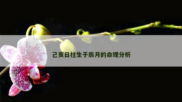 己亥日柱生于辰月的命理分析