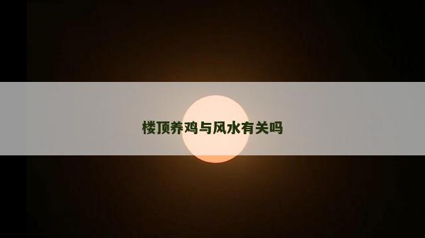 樓頂養雞與風水有關嗎