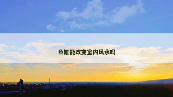 魚缸能改變室內風水嗎