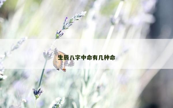 生辰八字中命有幾種命 生辰八字中命有幾種命