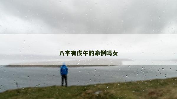 八字有戊午的命例嗎女