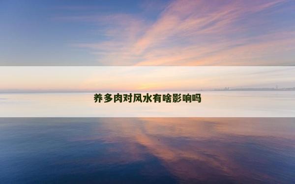 養多肉對風水有啥影響嗎