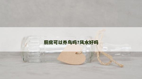 廚房可以養鳥嗎?風水好嗎