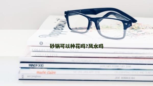 砂鍋可以種花嗎?風水嗎