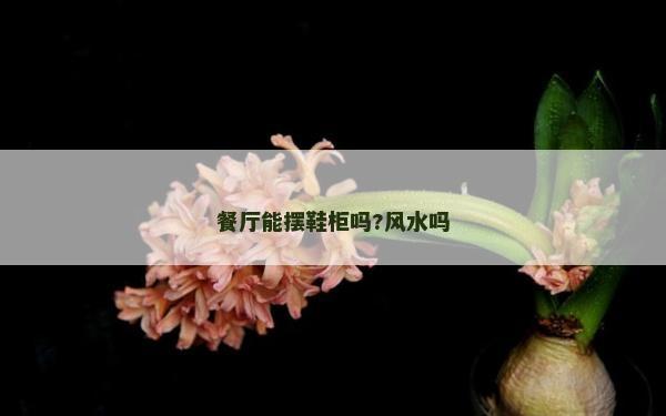 餐廳能擺鞋柜嗎?風水嗎