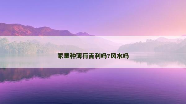 家里種薄荷吉利嗎?風水嗎