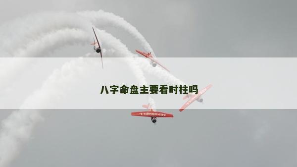 八字命盤主要看時柱嗎