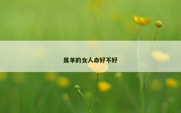 屬羊的女人命好不好