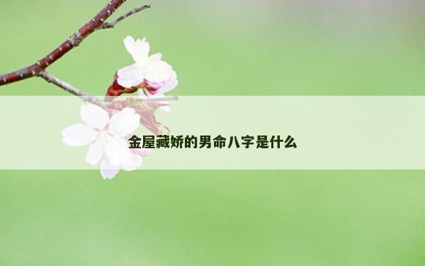 金屋藏嬌的男命八字是什么