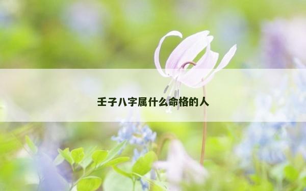 壬子八字屬什么命格的人