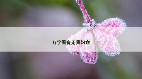八字看有無貴婦命