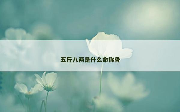 五斤八兩是什么命稱骨