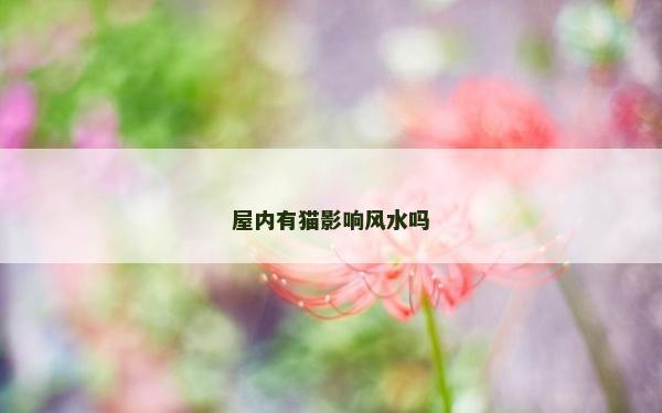 屋內有貓影響風水嗎