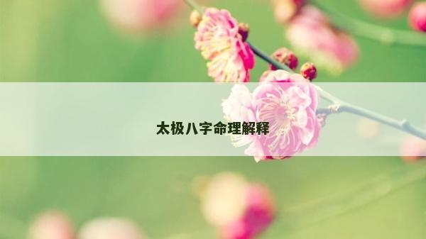 太極八字命理解釋