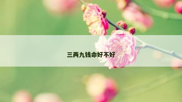 三兩九錢命好不好