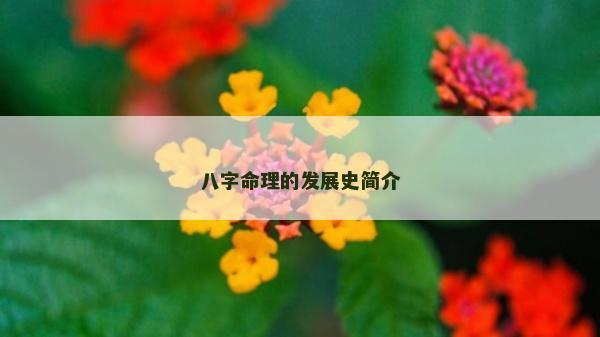 八字命理的發(fā)展史簡介
