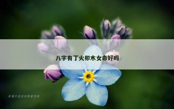 八字有丁火卯木女命好嗎