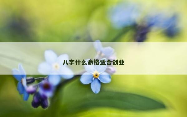 八字什么命格適合創業