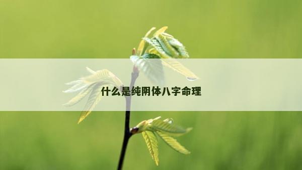 什么是純陰體八字命理