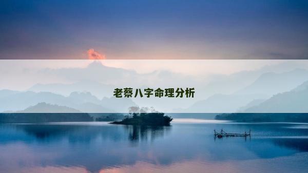 老蔡八字命理分析