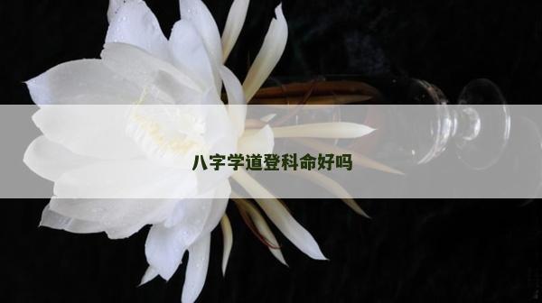 八字學道登科命好嗎