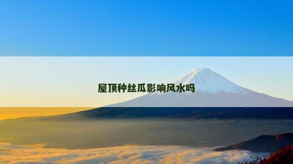 屋頂種絲瓜影響風(fēng)水嗎
