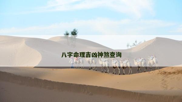 八字命理吉兇神煞查詢 八字命理吉兇神煞查詢