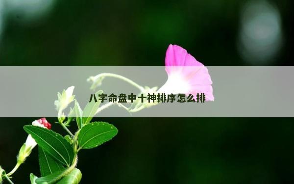 八字命盤中十神排序怎么排