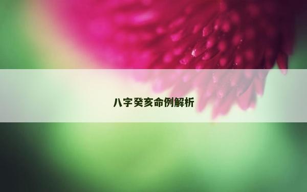 八字癸亥命例解析 八字癸亥命例解析