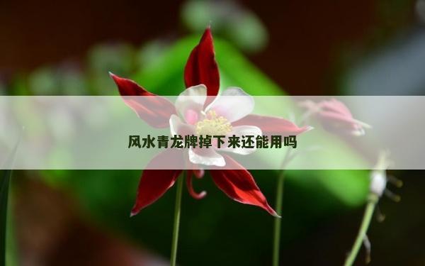 風(fēng)水青龍牌掉下來(lái)還能用嗎