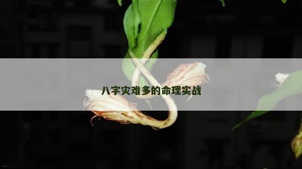 八字災難多的命理實戰