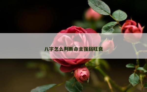 八字怎么判斷命主強弱旺衰