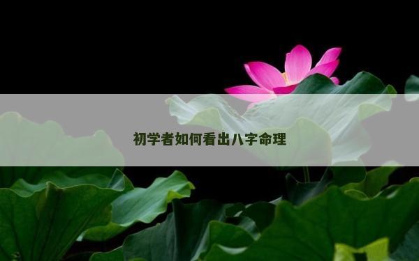 初學(xué)者如何看出八字命理