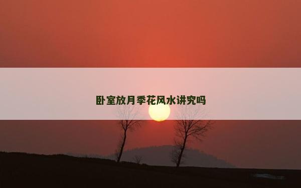 臥室放月季花風水講究嗎