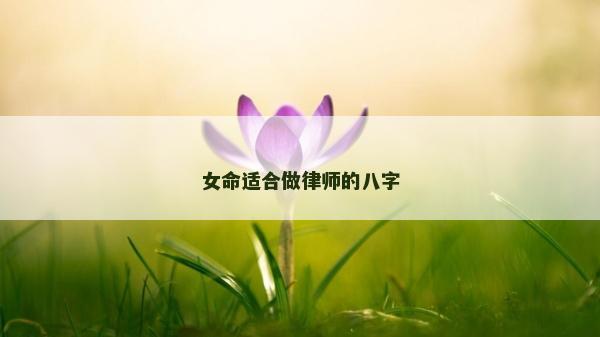 女命適合做律師的八字